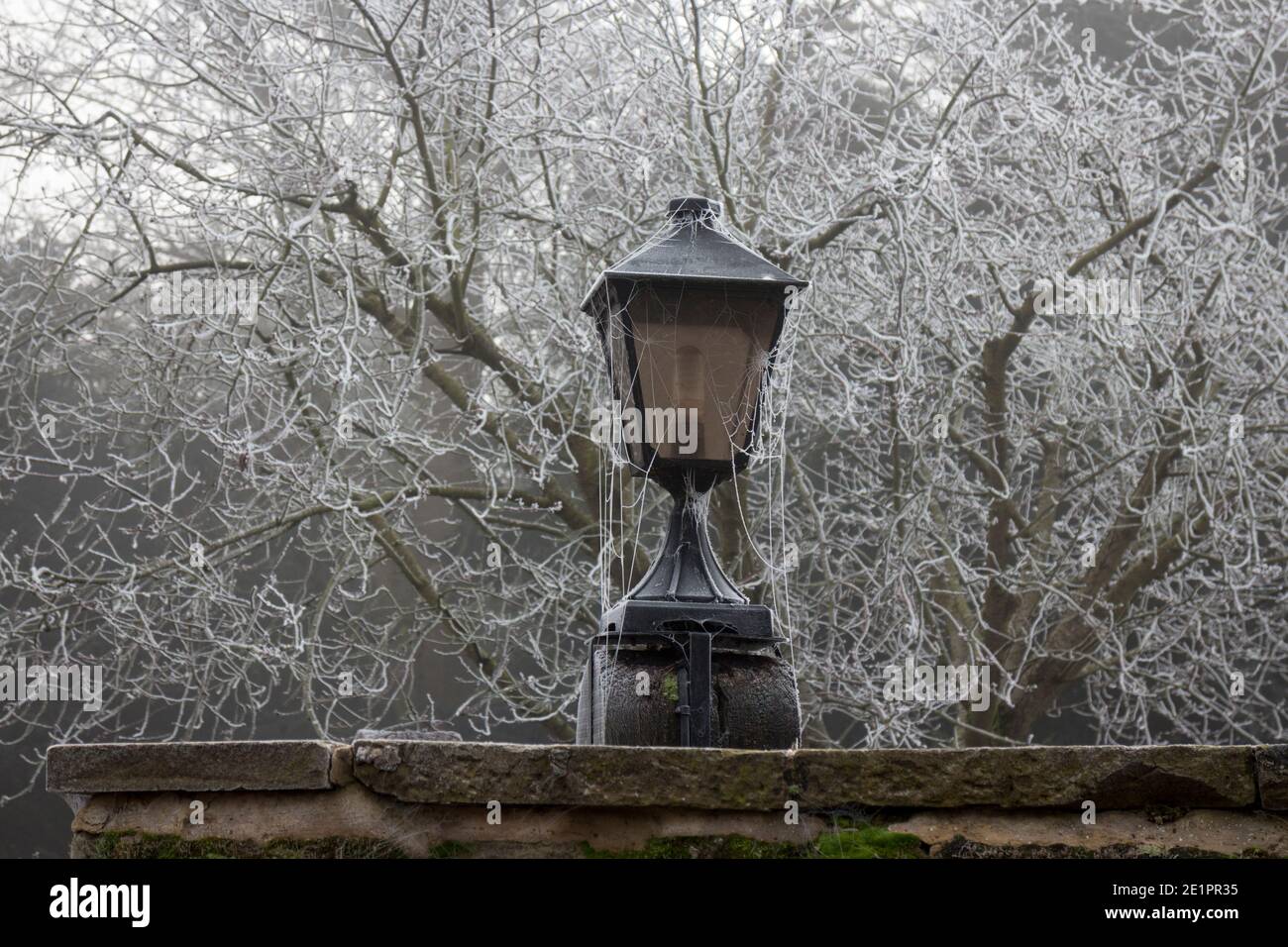 A lamp on a frosty winter`s day, Castle Lane, Warwick, Warwickshire, England, UK Stock Photo